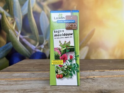 Mildiou - Agent de lutte