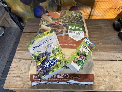 paquet de plantes les raisins