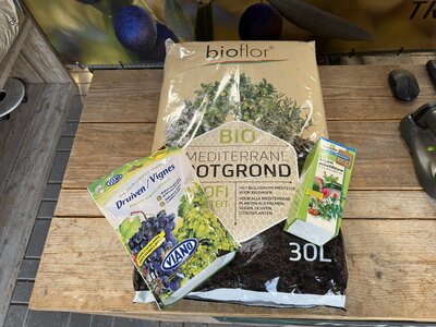 paquet de plantes les raisins